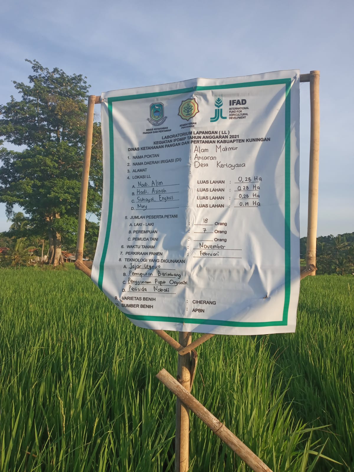 Demplot Pertanian Organik Dusun Kaliwon, Desa Kertayasa